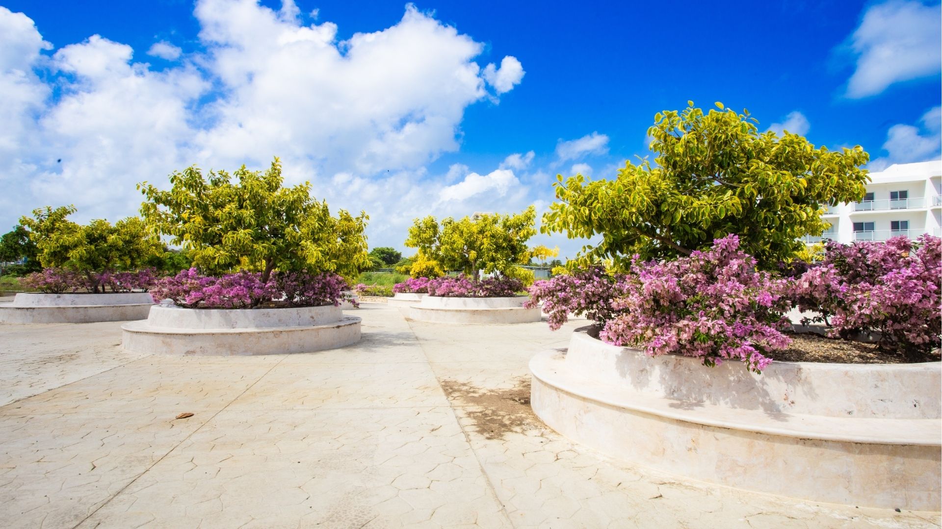 photo of property in dominican republic