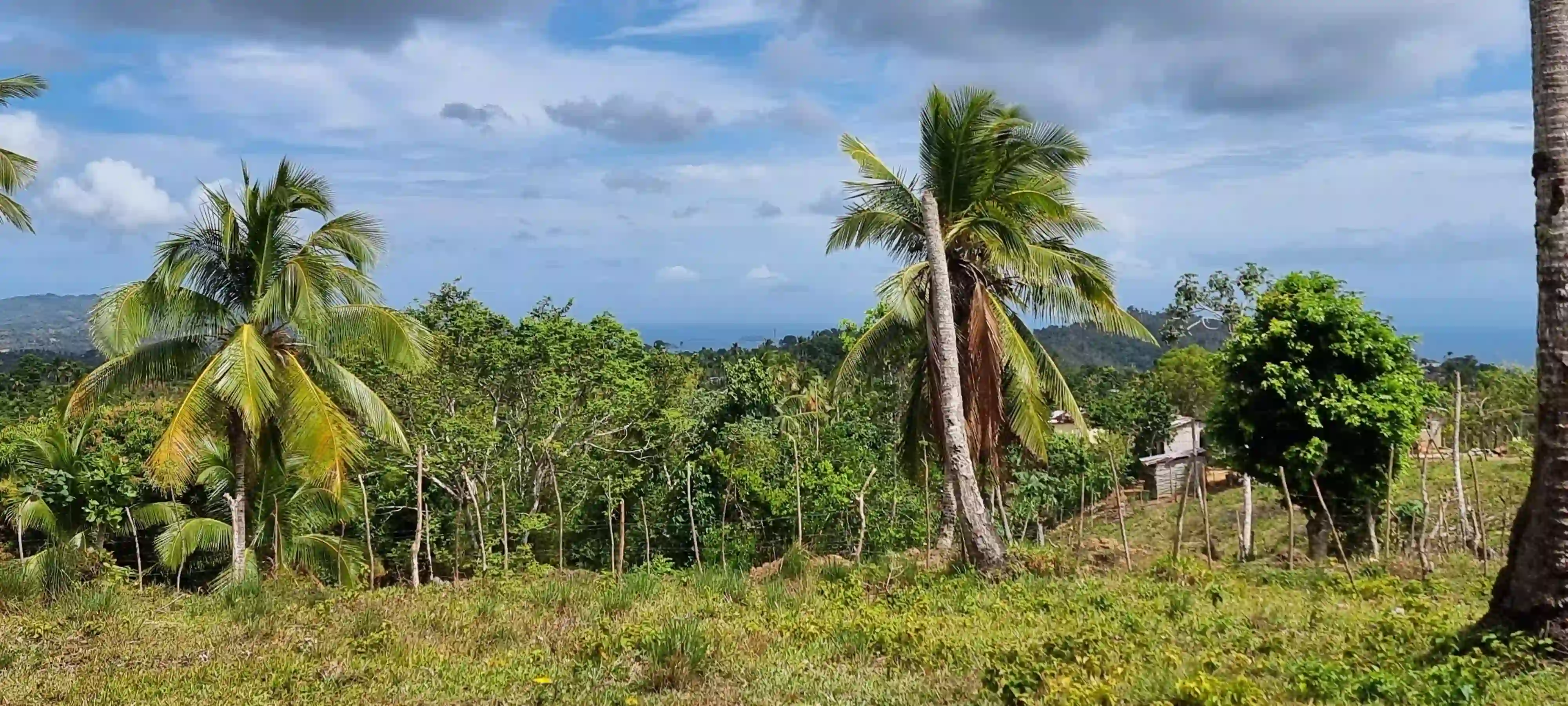 photo of property in dominican republic