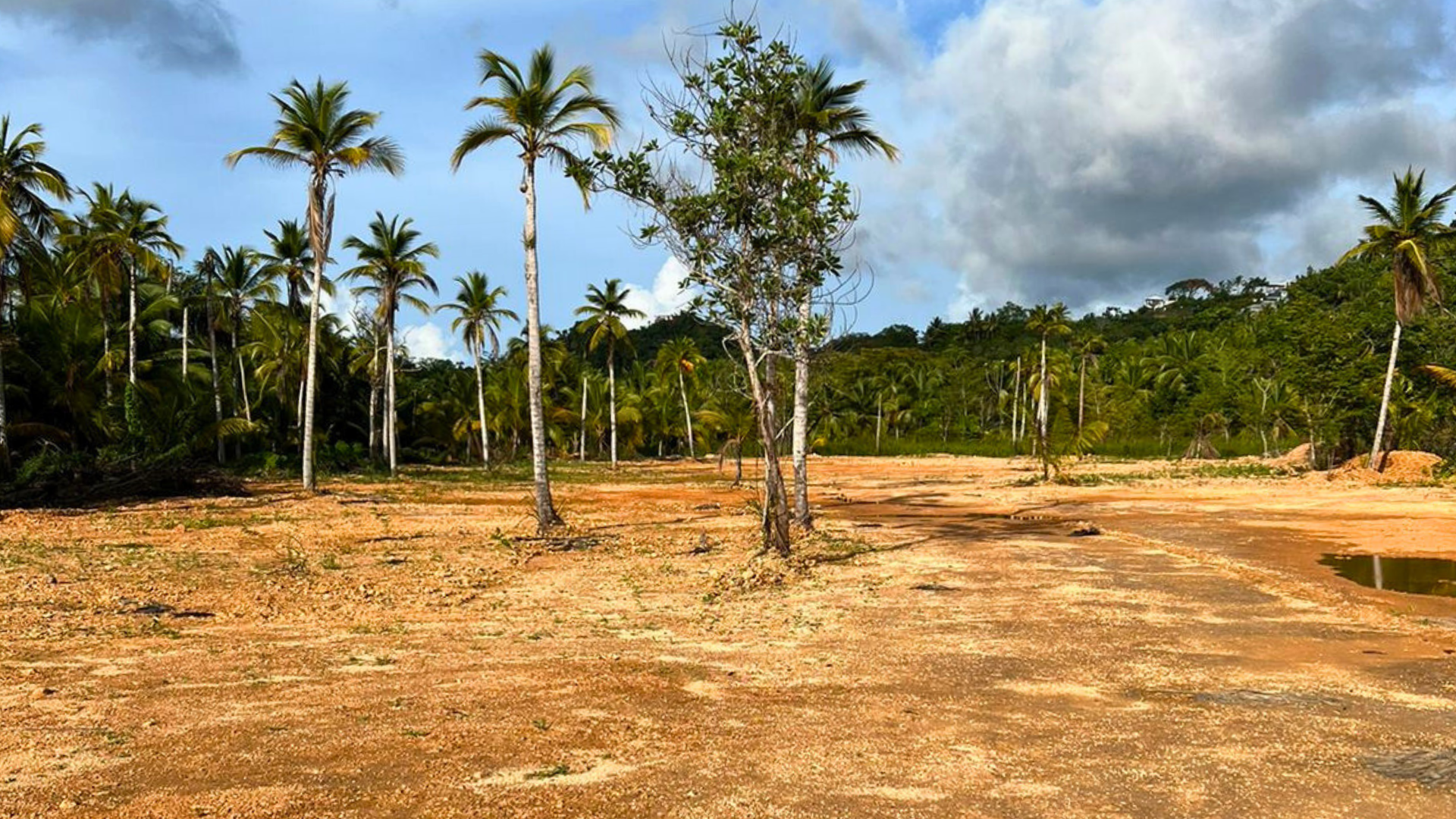 photo of property in dominican republic