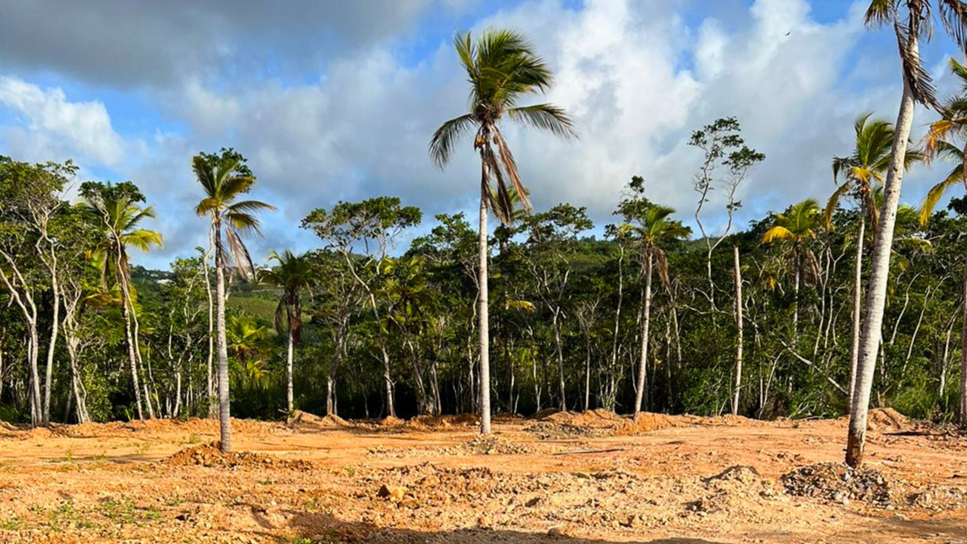 photo of property in dominican republic