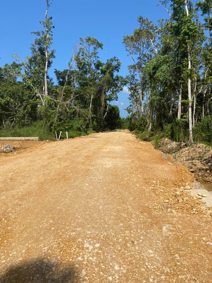 photo of property in dominican republic