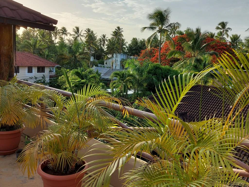 photo of property in dominican republic