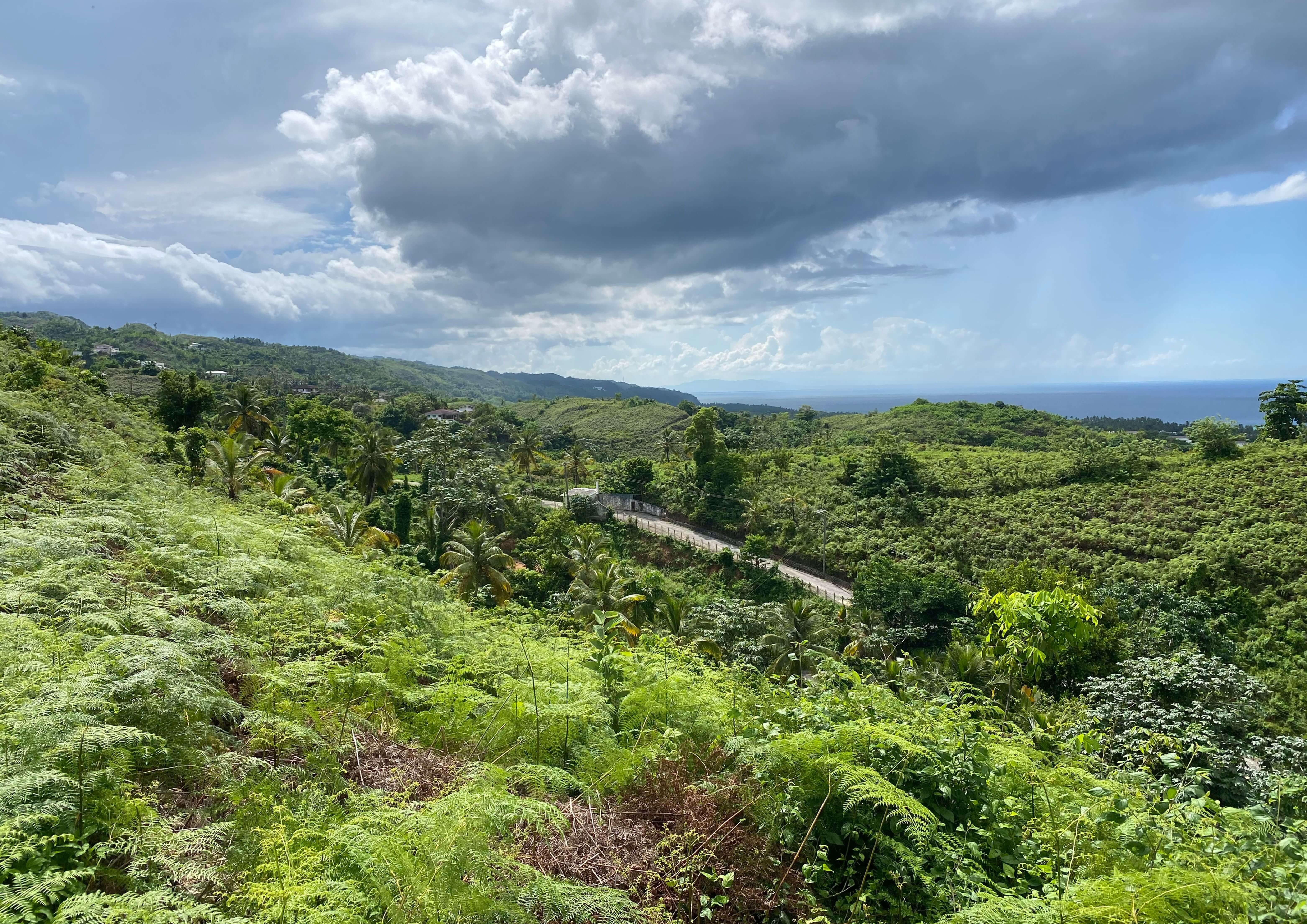 photo of property in dominican republic