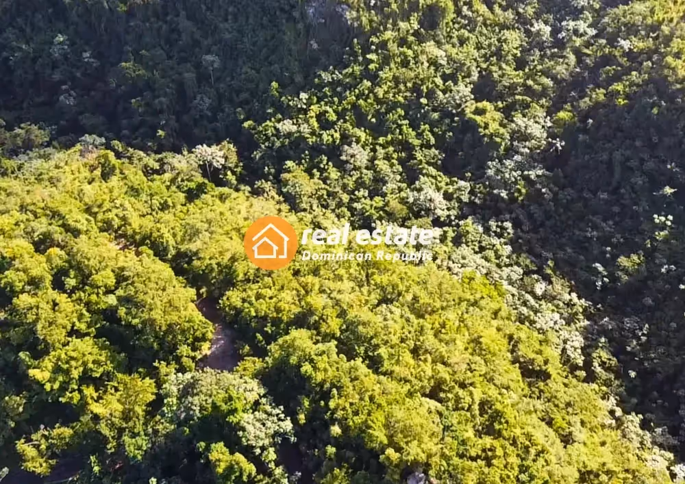 photo of property in dominican republic