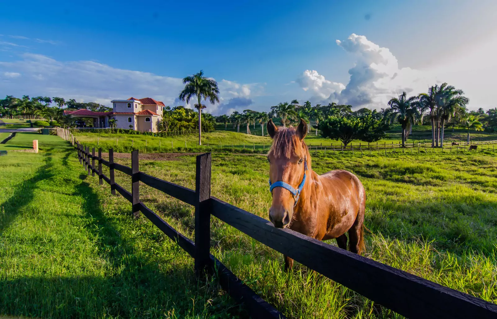 photo of property in dominican republic