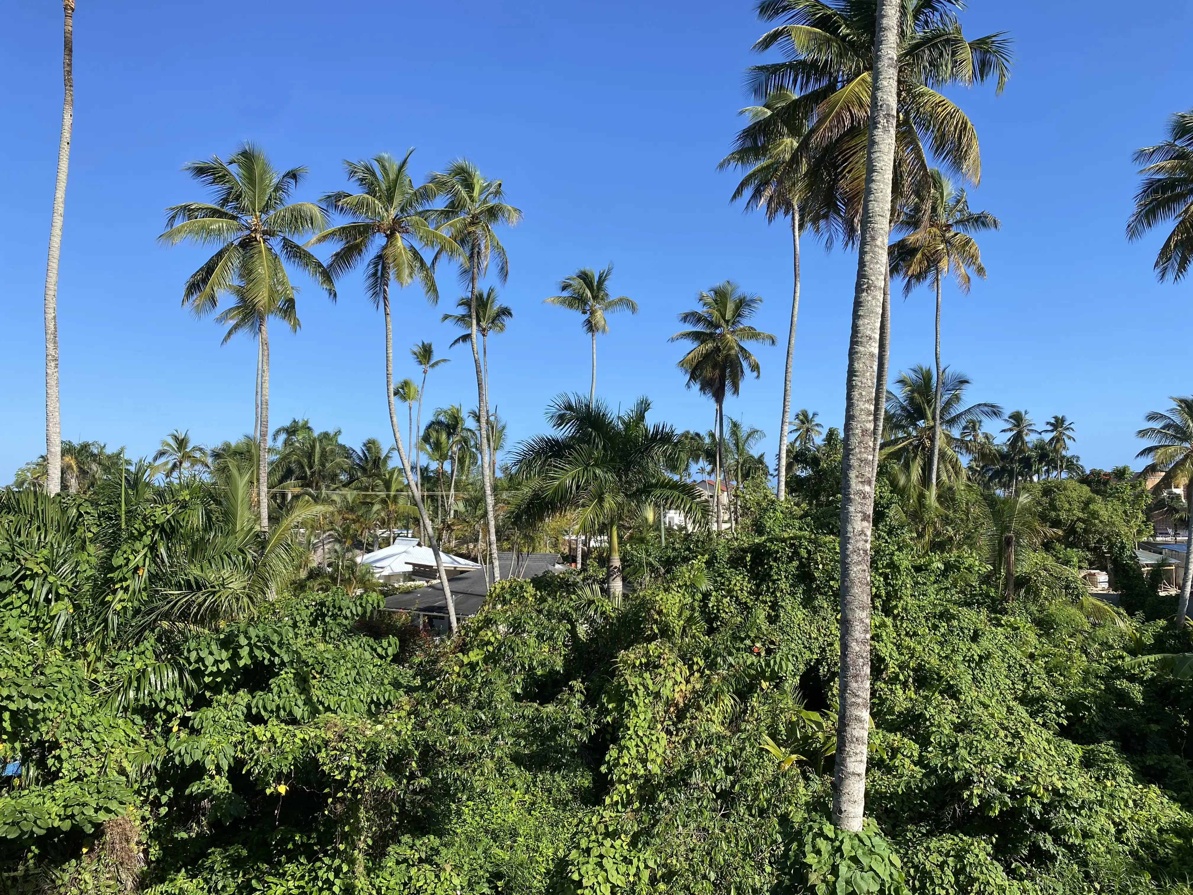 photo of property in dominican republic