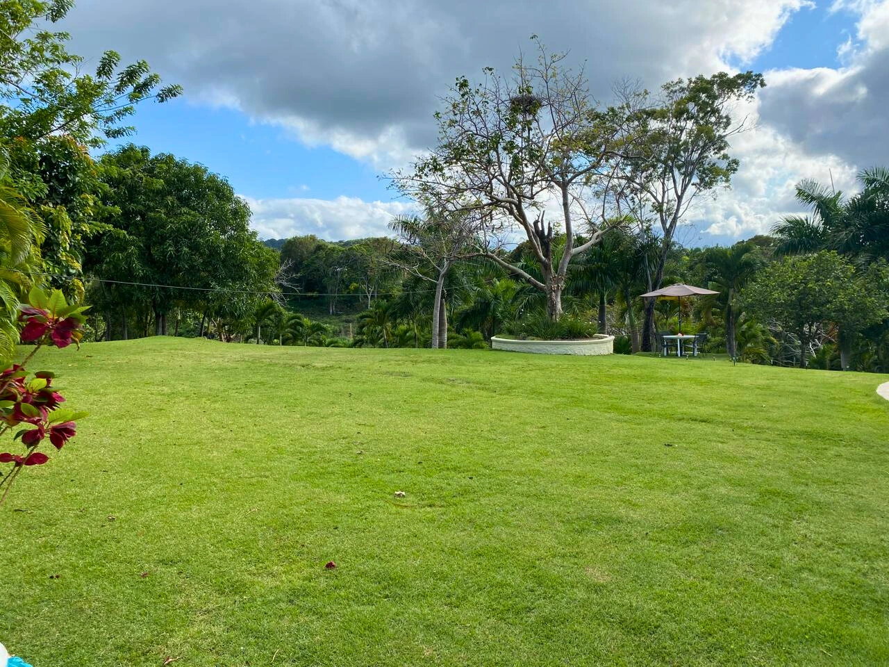 photo of property in dominican republic