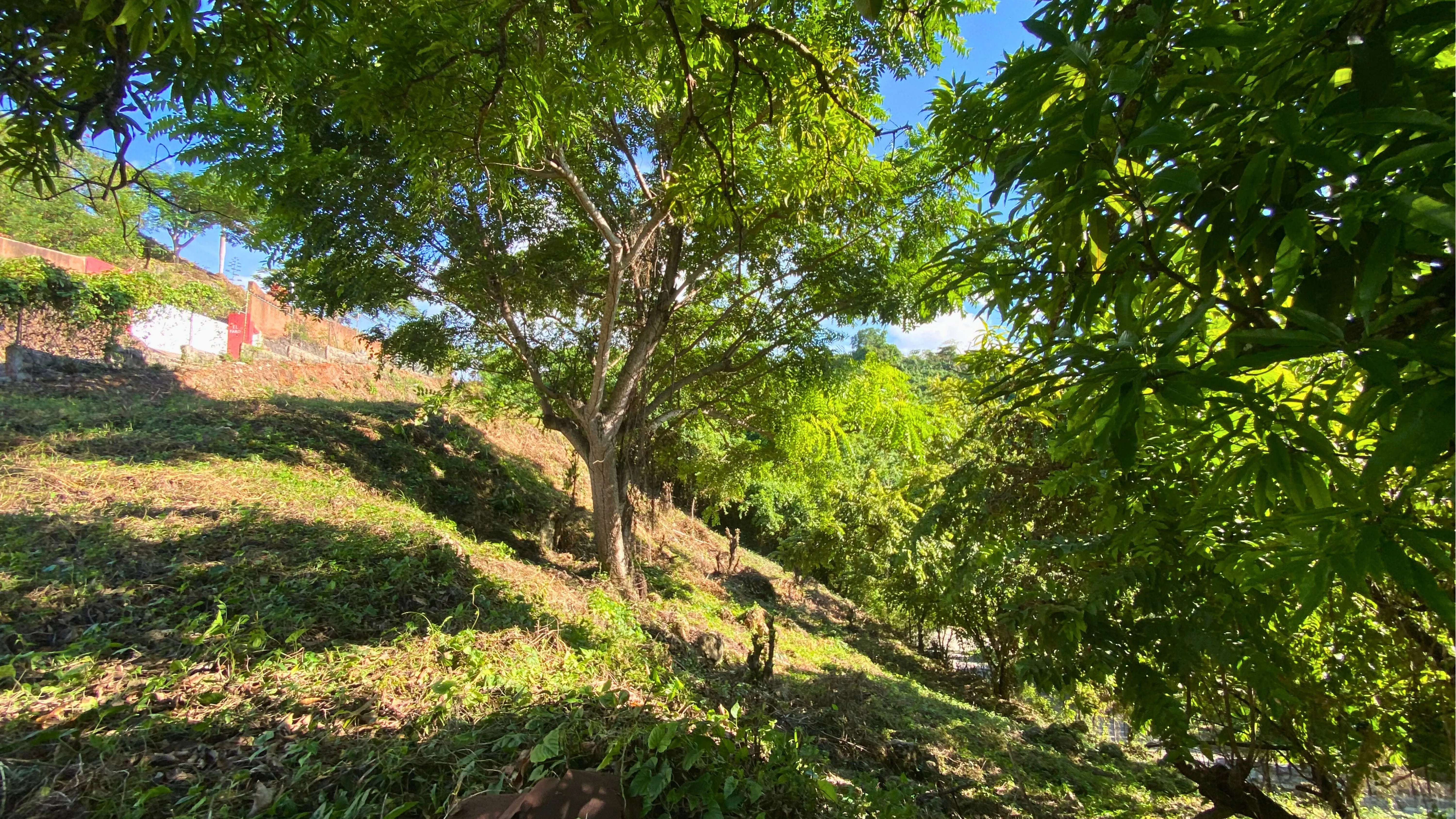 photo of property in dominican republic