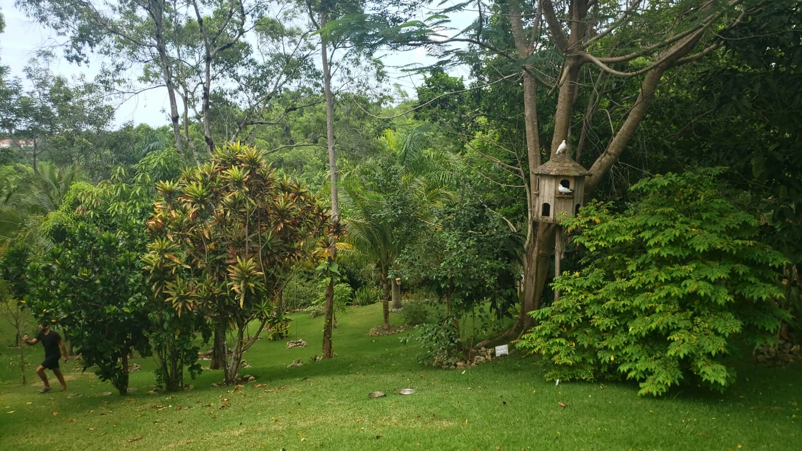 photo of property in dominican republic