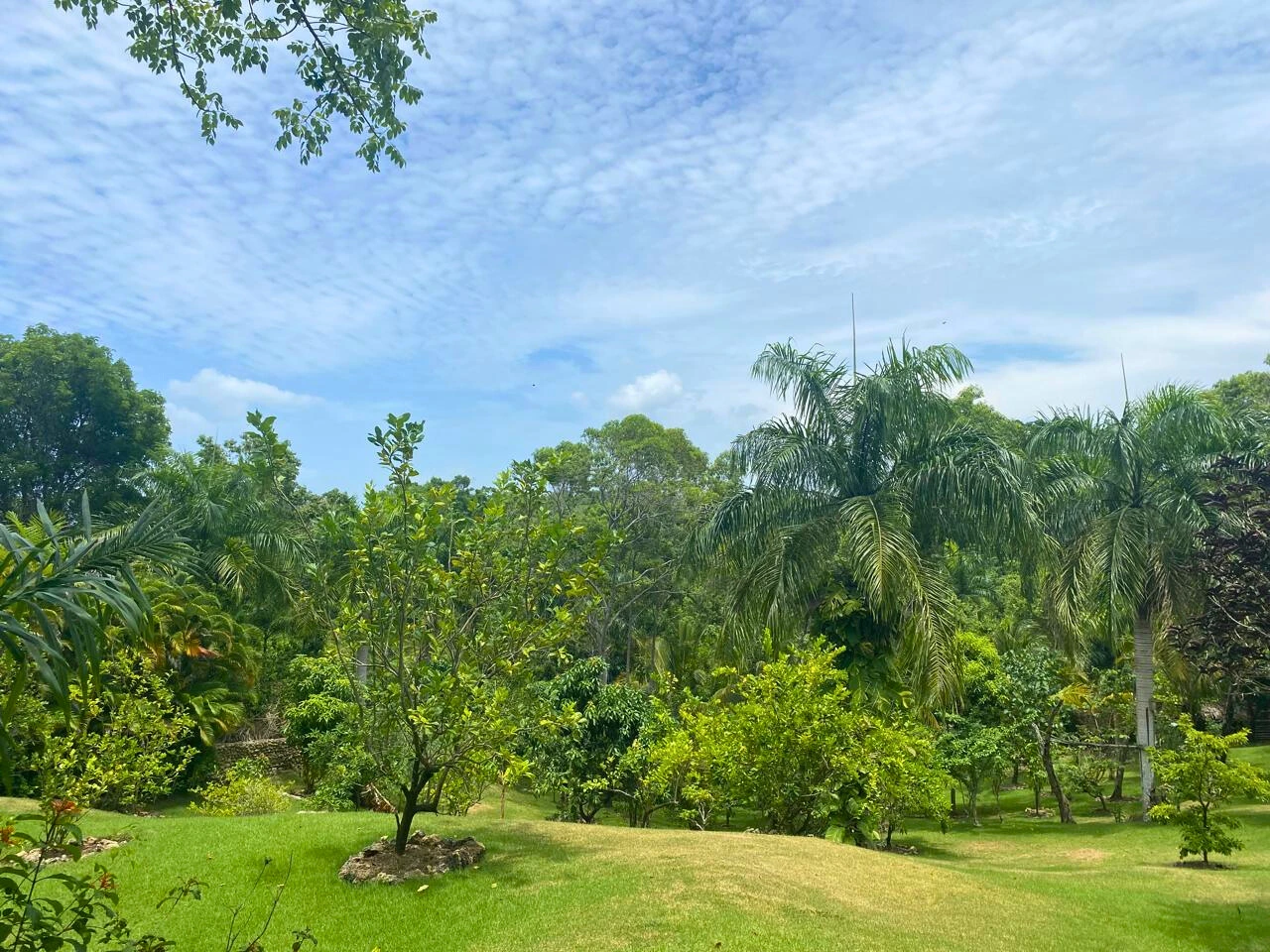 photo of property in dominican republic
