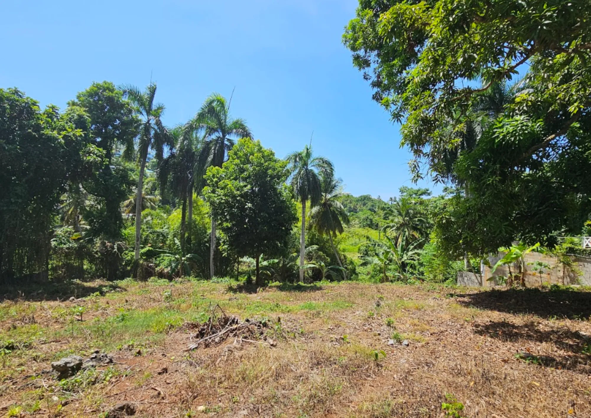 photo of property in dominican republic