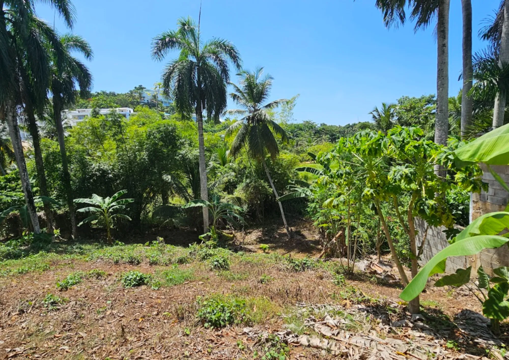photo of property in dominican republic