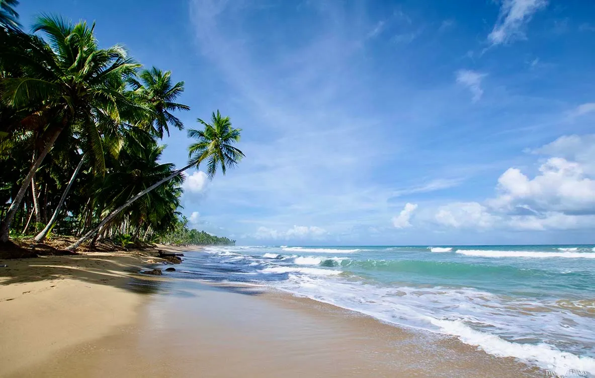 photo of property in dominican republic