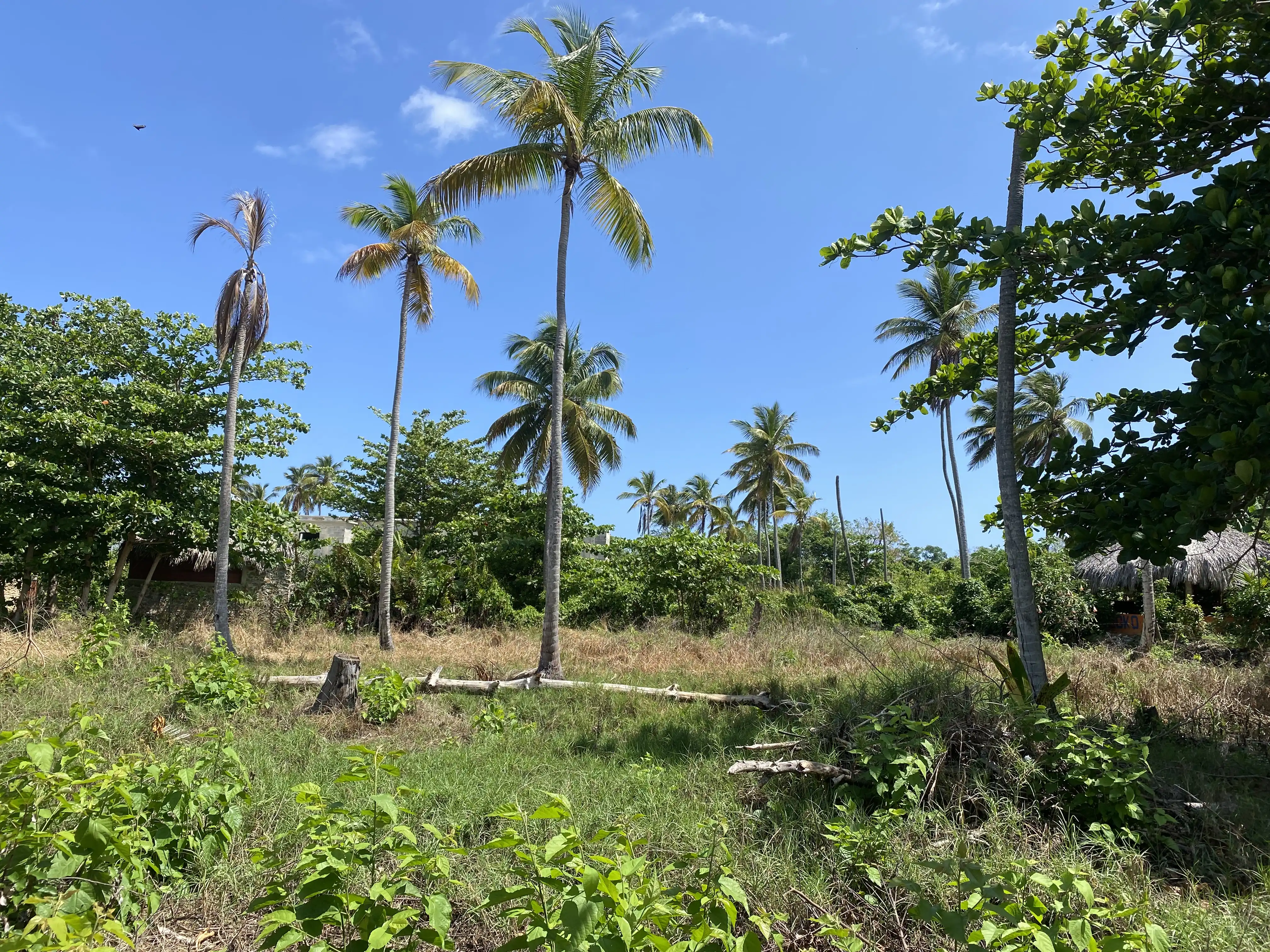 photo of property in dominican republic