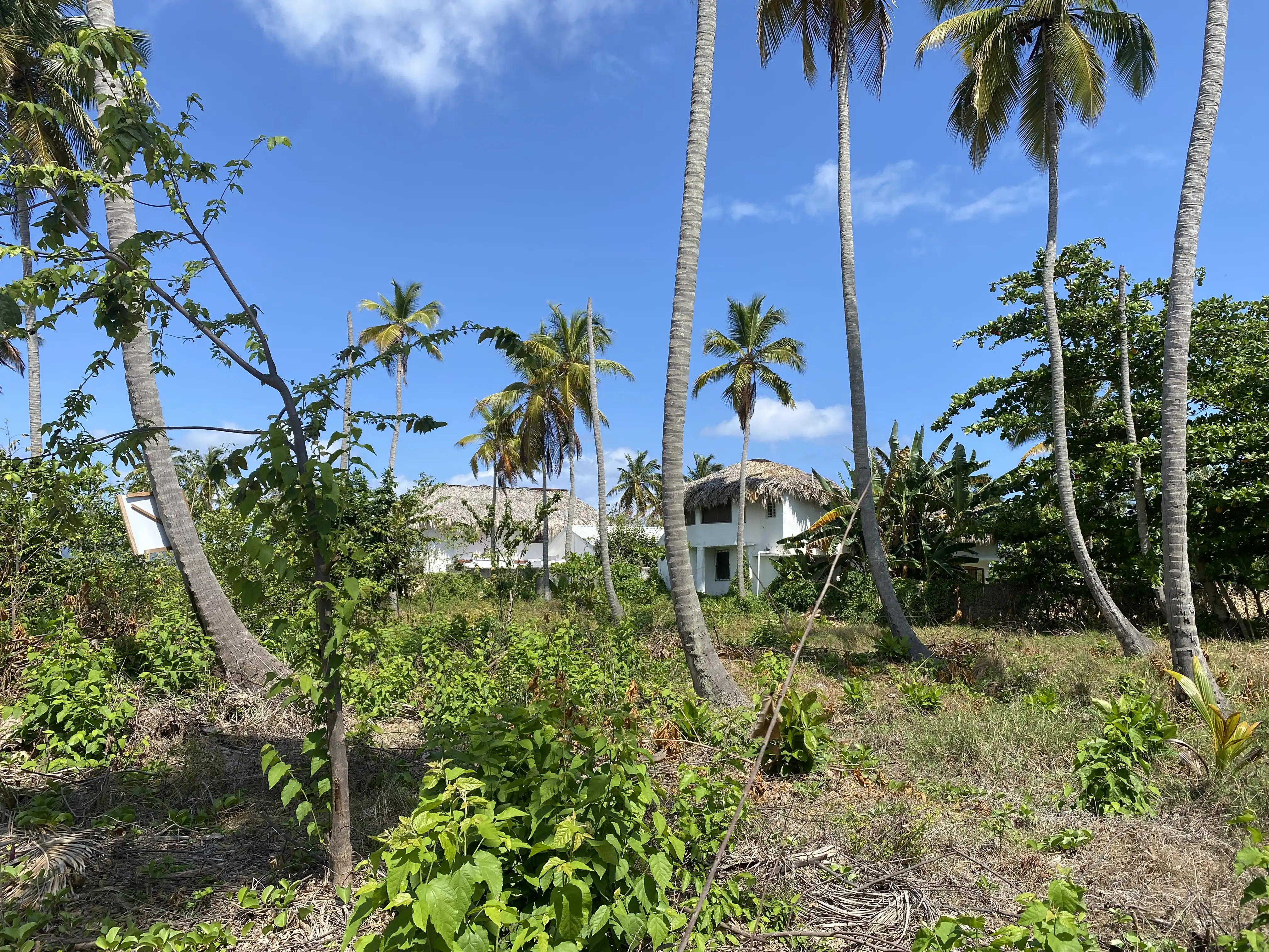 photo of property in dominican republic