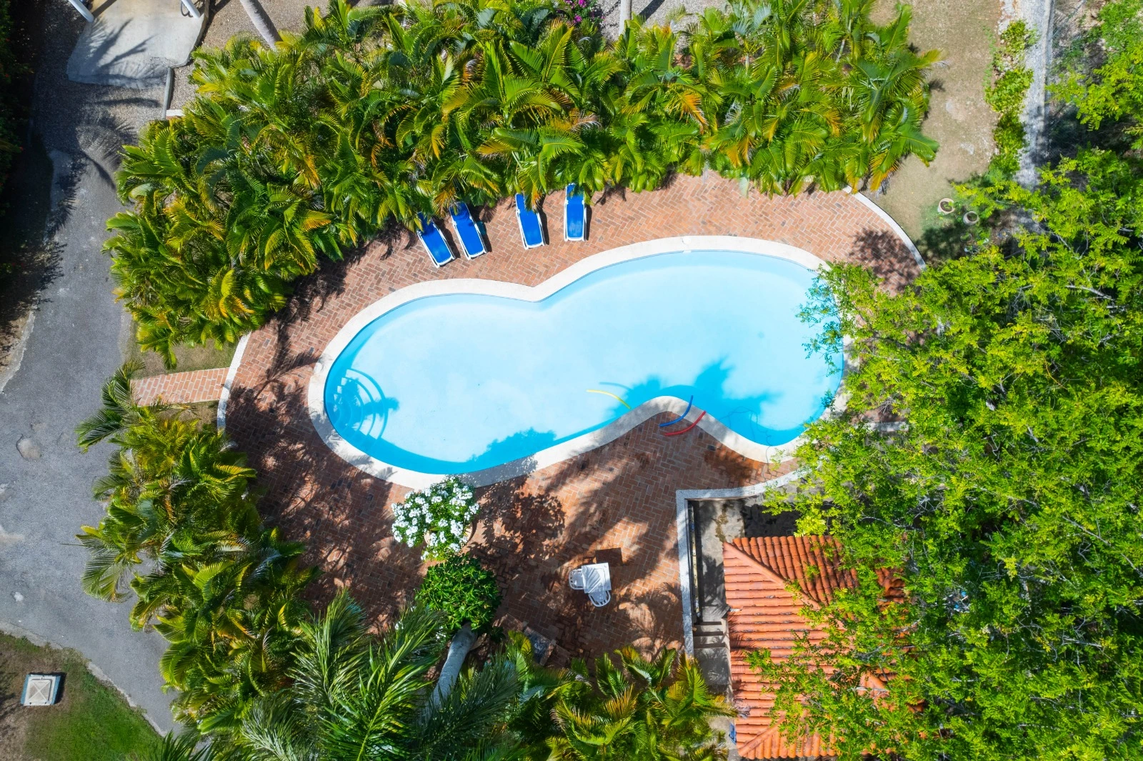 photo of property in dominican republic