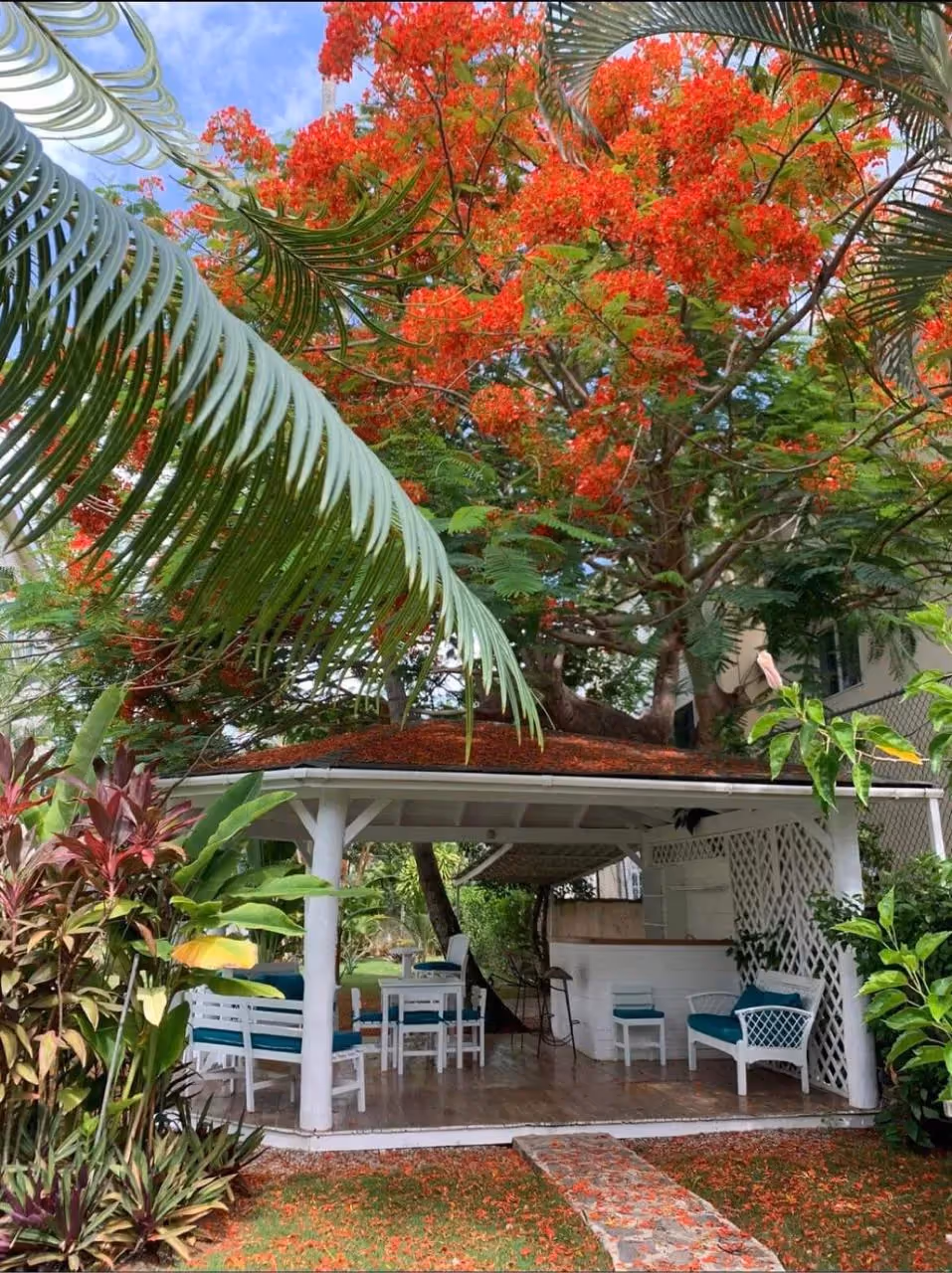 photo of property in dominican republic