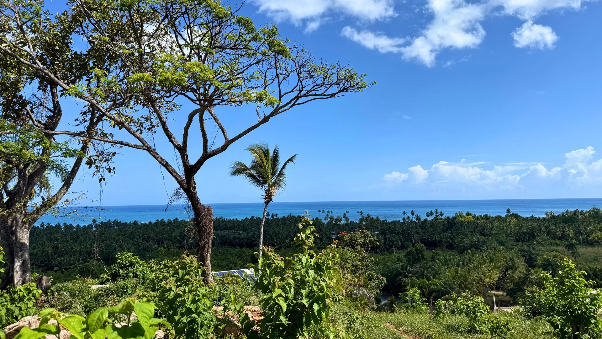 photo of property in dominican republic