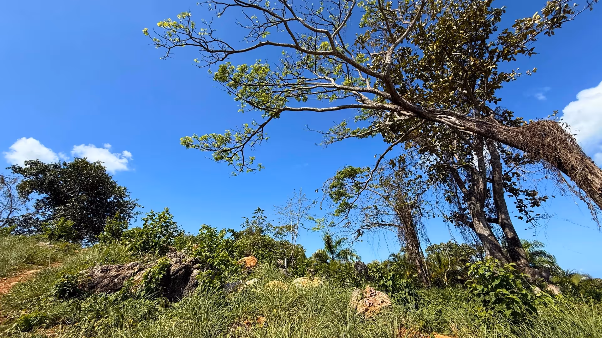 photo of property in dominican republic