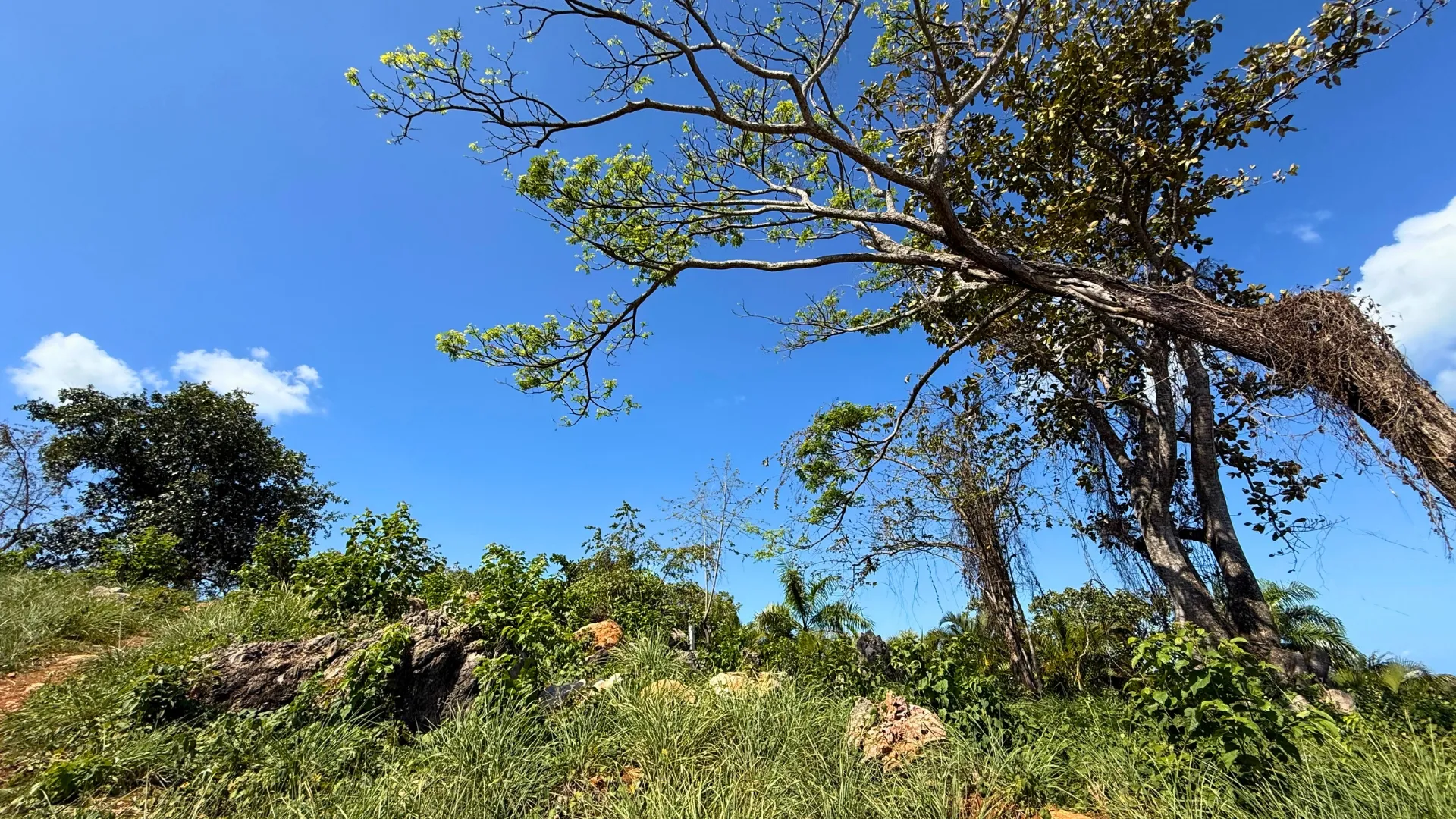 photo of property in dominican republic