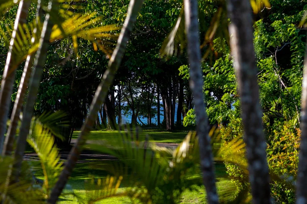 photo of property in dominican republic