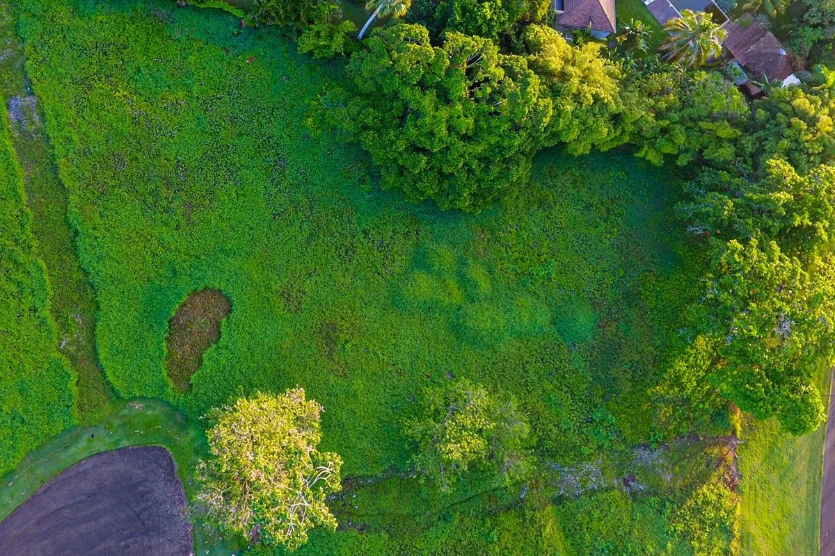 photo of property in dominican republic
