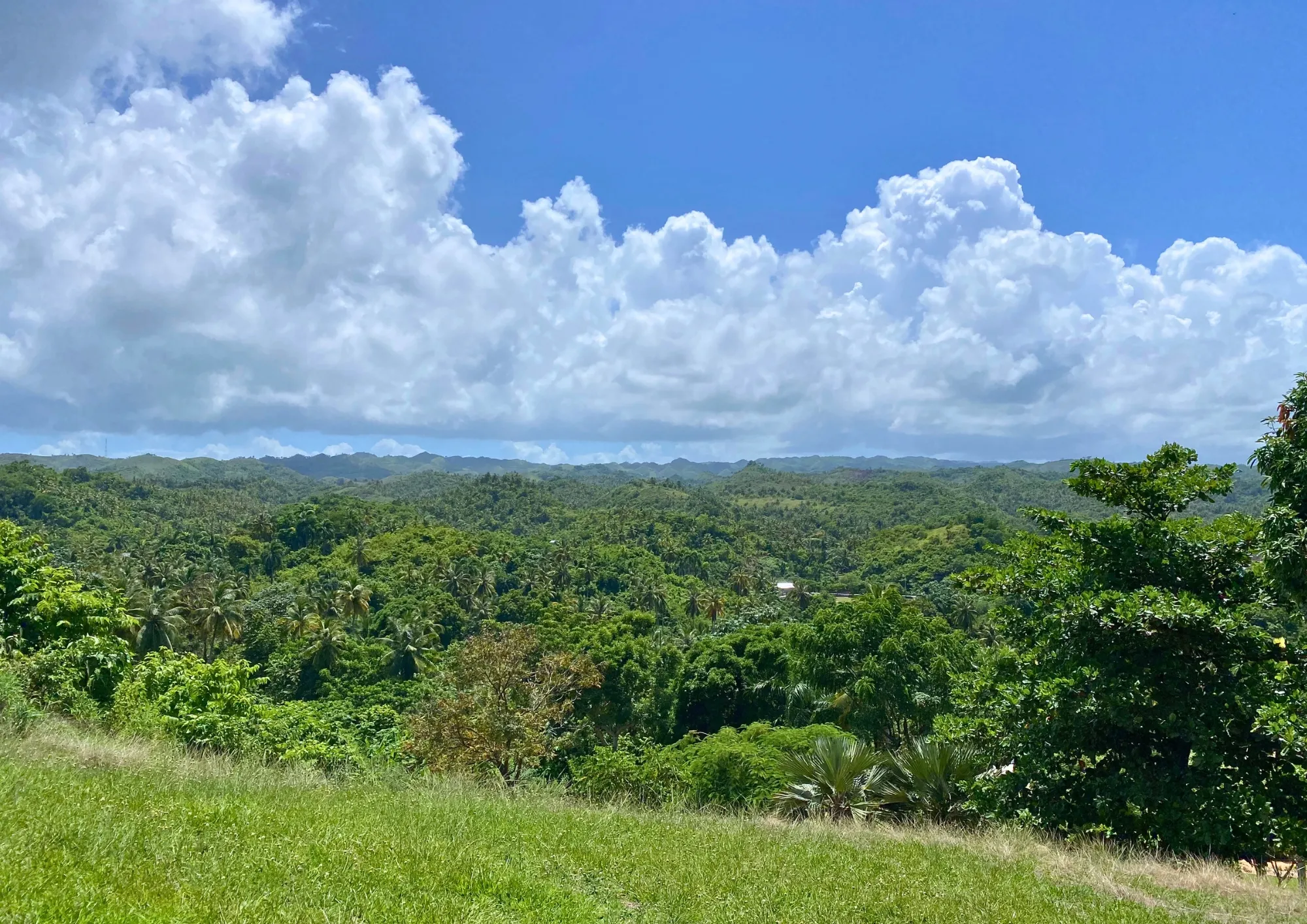 photo of property in dominican republic