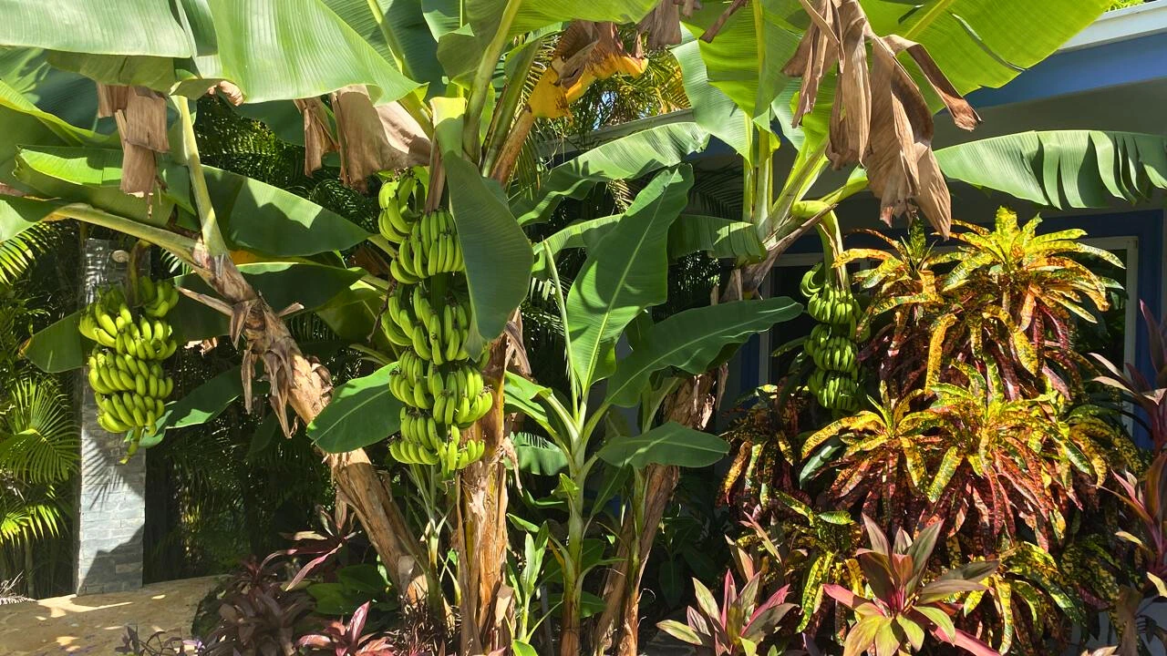 photo of property in dominican republic