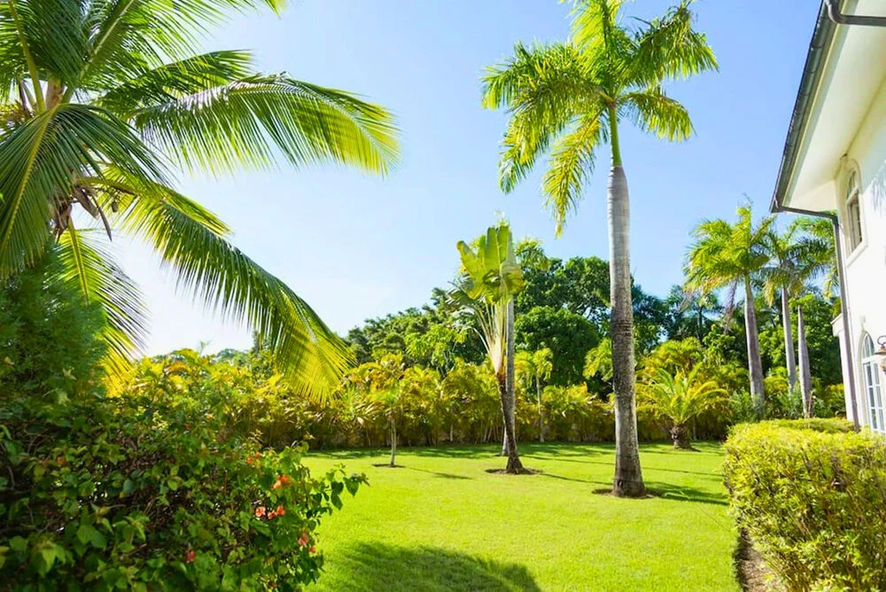 photo of property in dominican republic