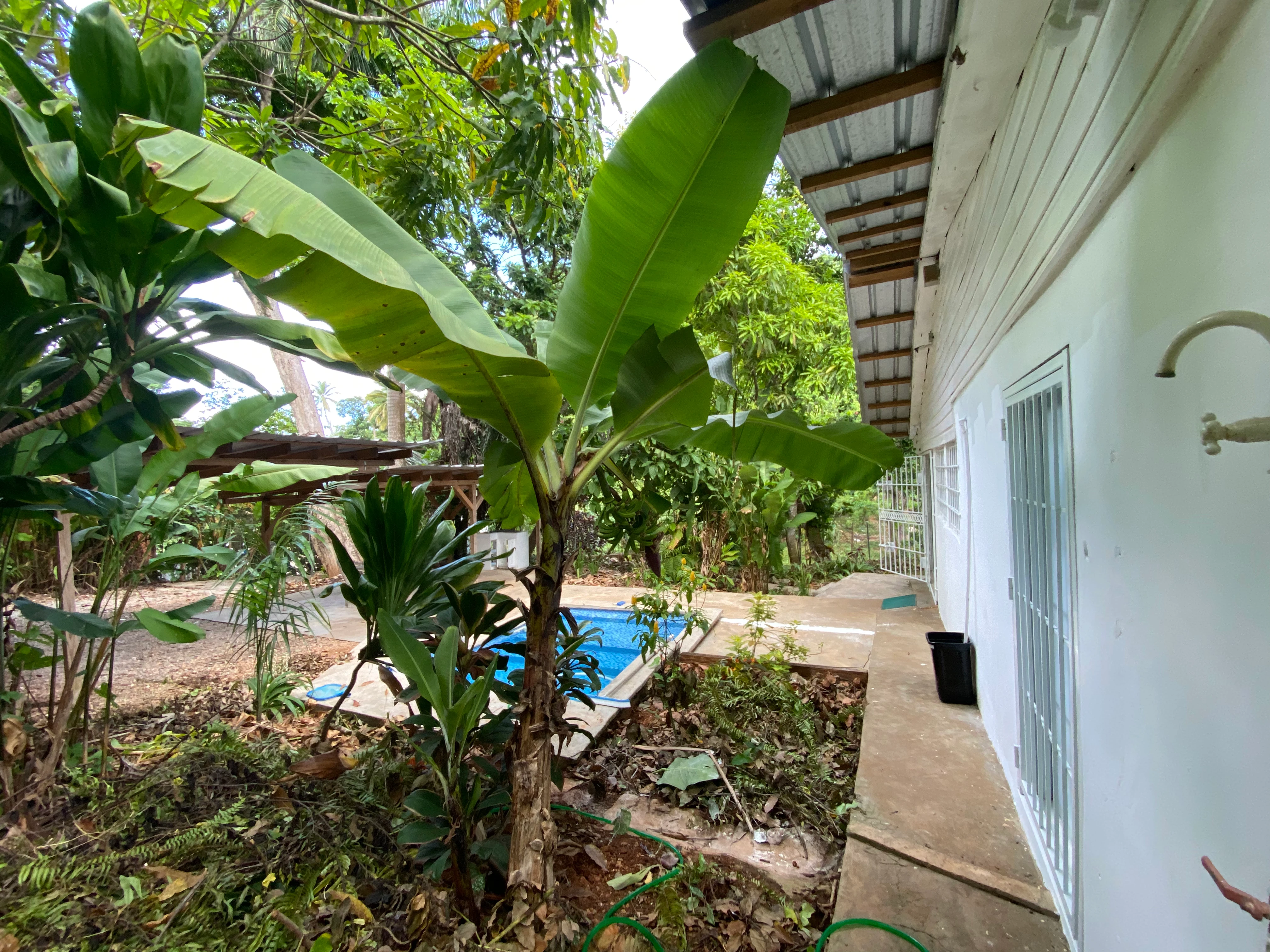 photo of property in dominican republic