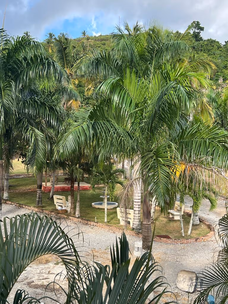 photo of property in dominican republic