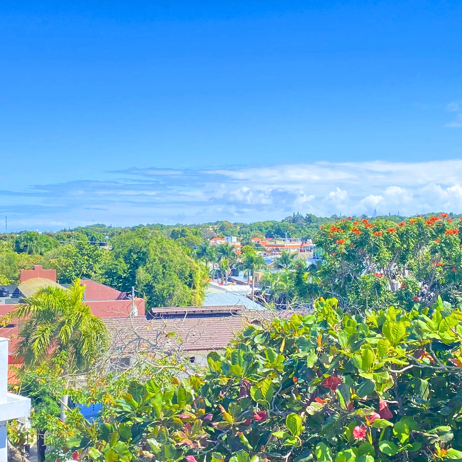 photo of property in dominican republic