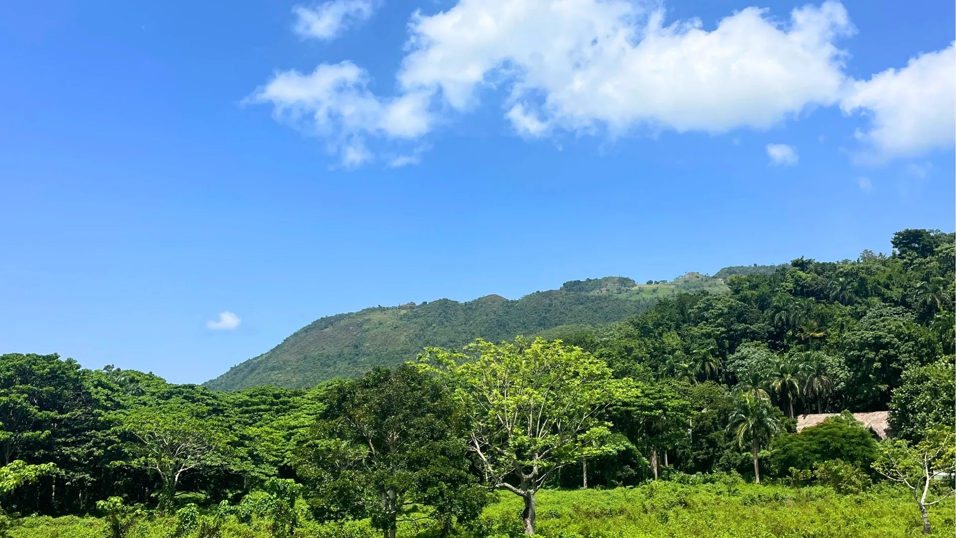 photo of property in dominican republic