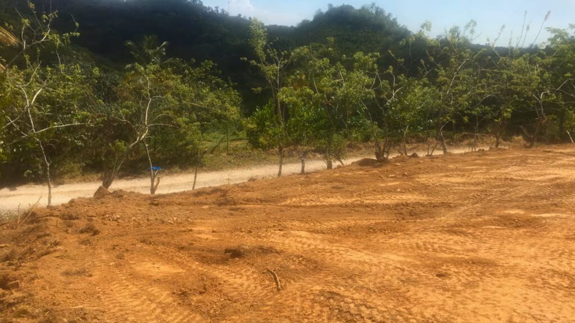 photo of property in dominican republic