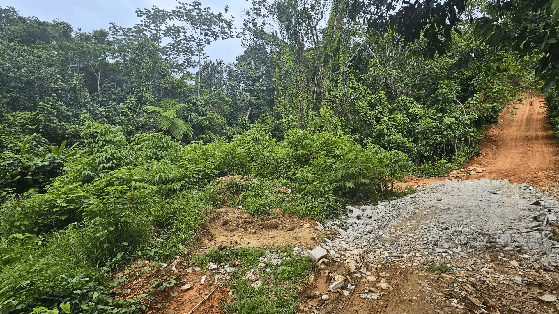 photo of property in dominican republic