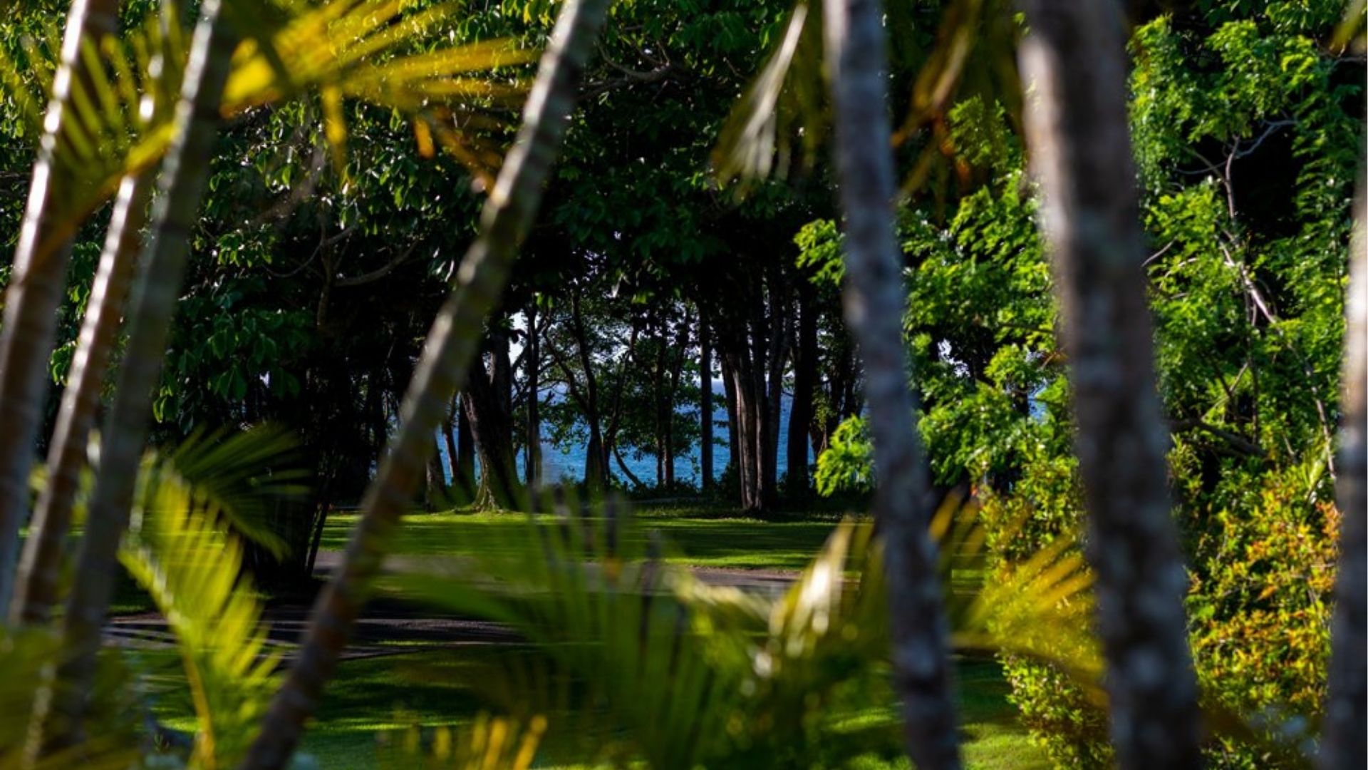 photo of property in dominican republic