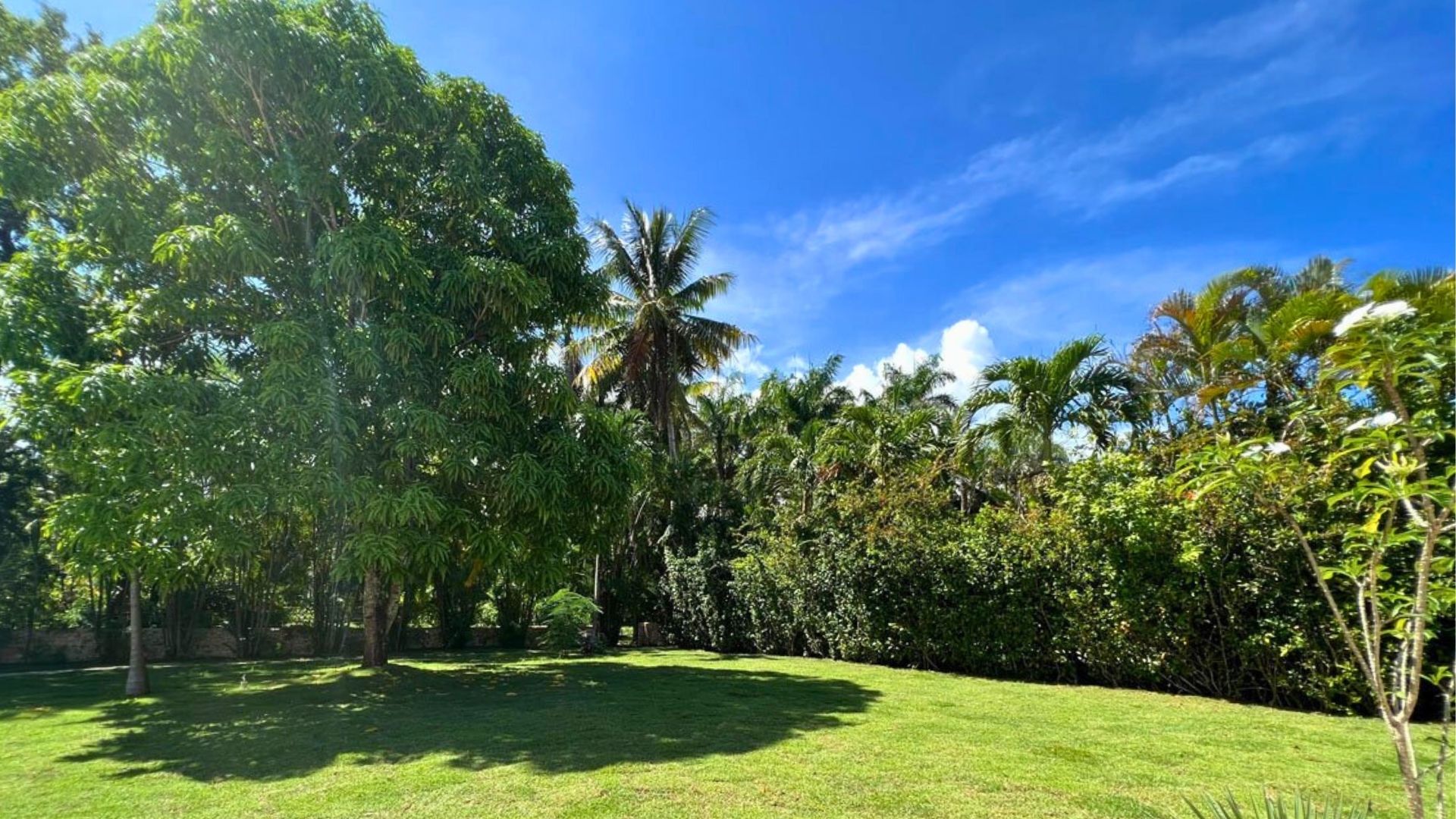 photo of property in dominican republic