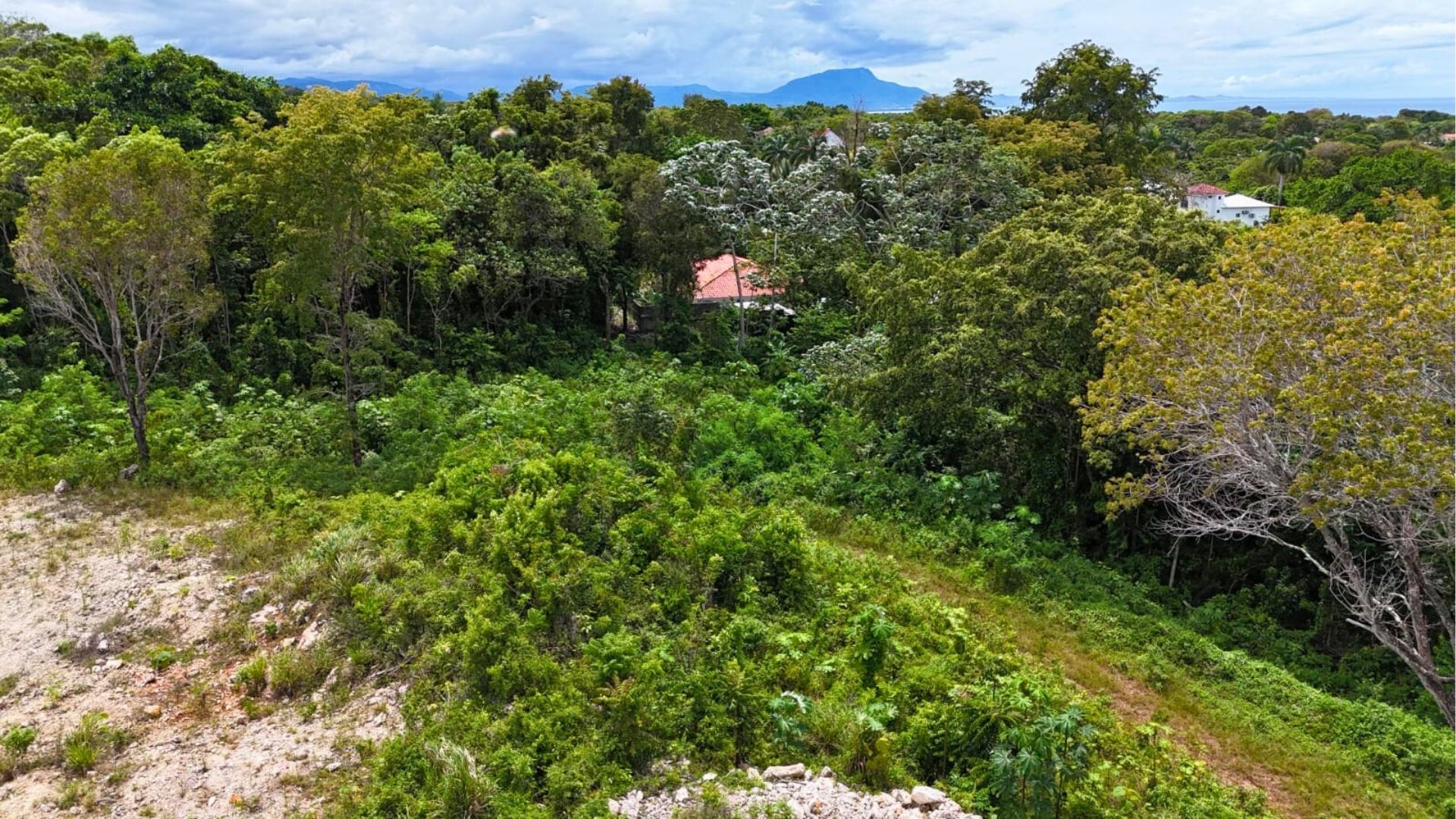 photo of property in dominican republic