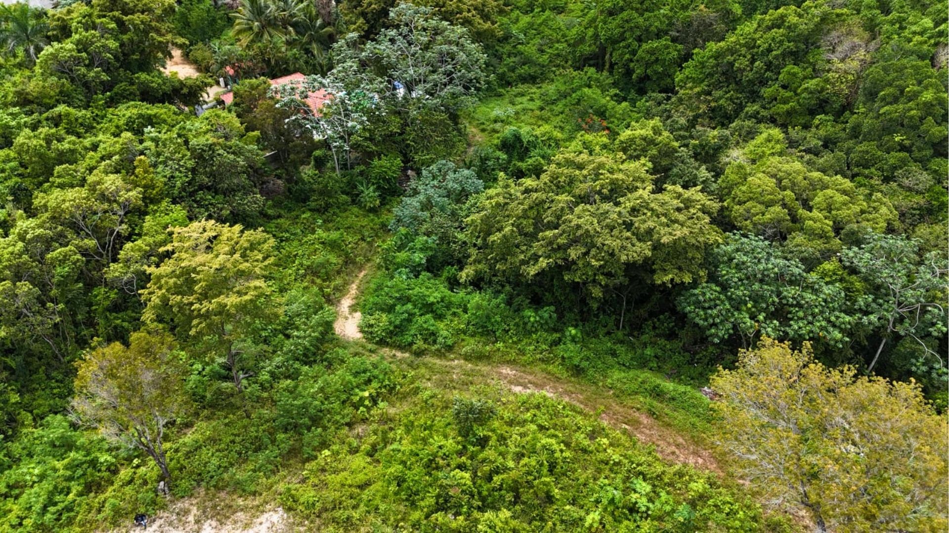 photo of property in dominican republic