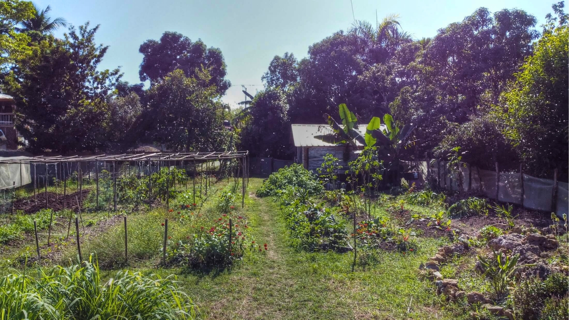 photo of property in dominican republic