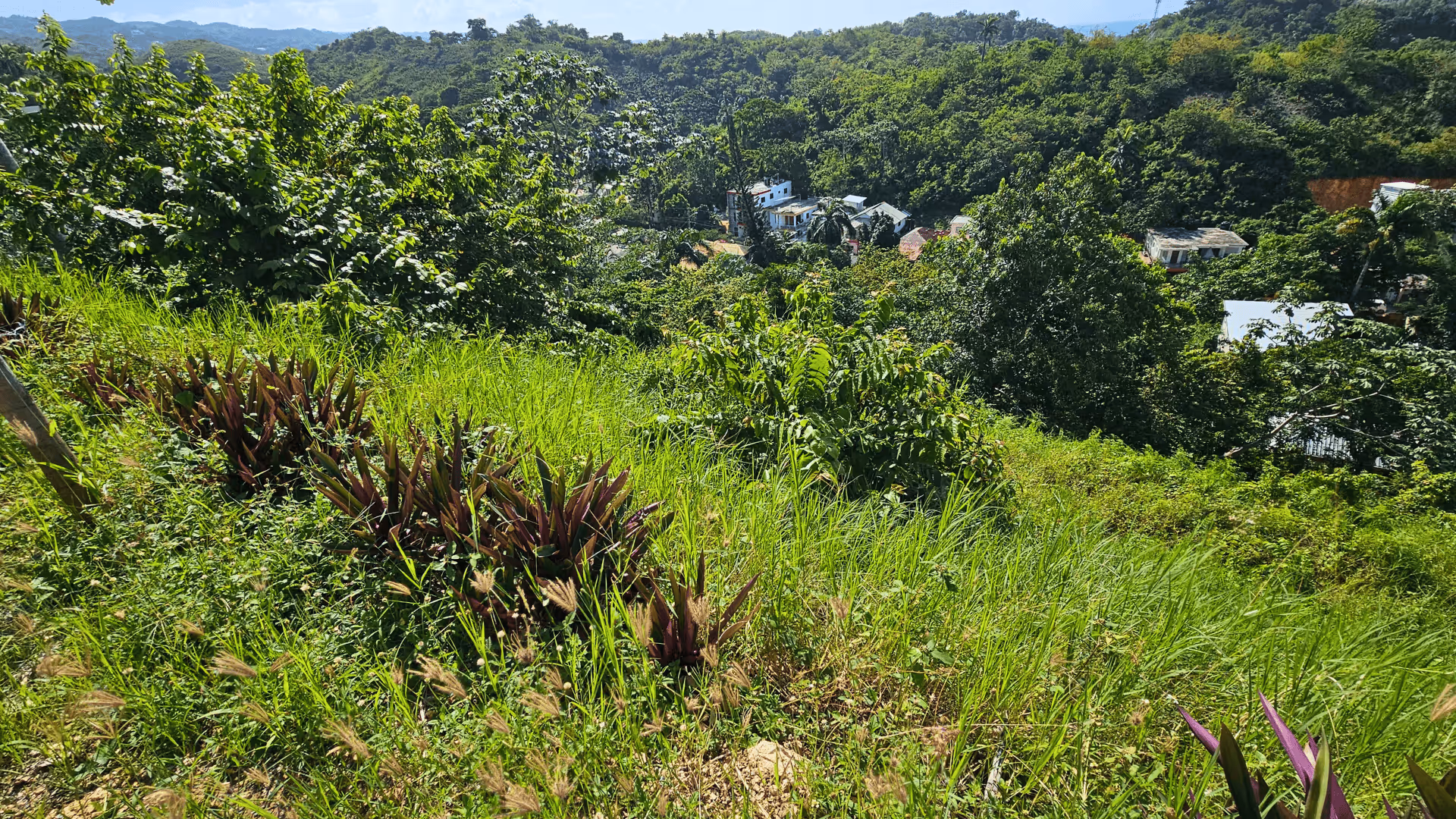 photo of property in dominican republic