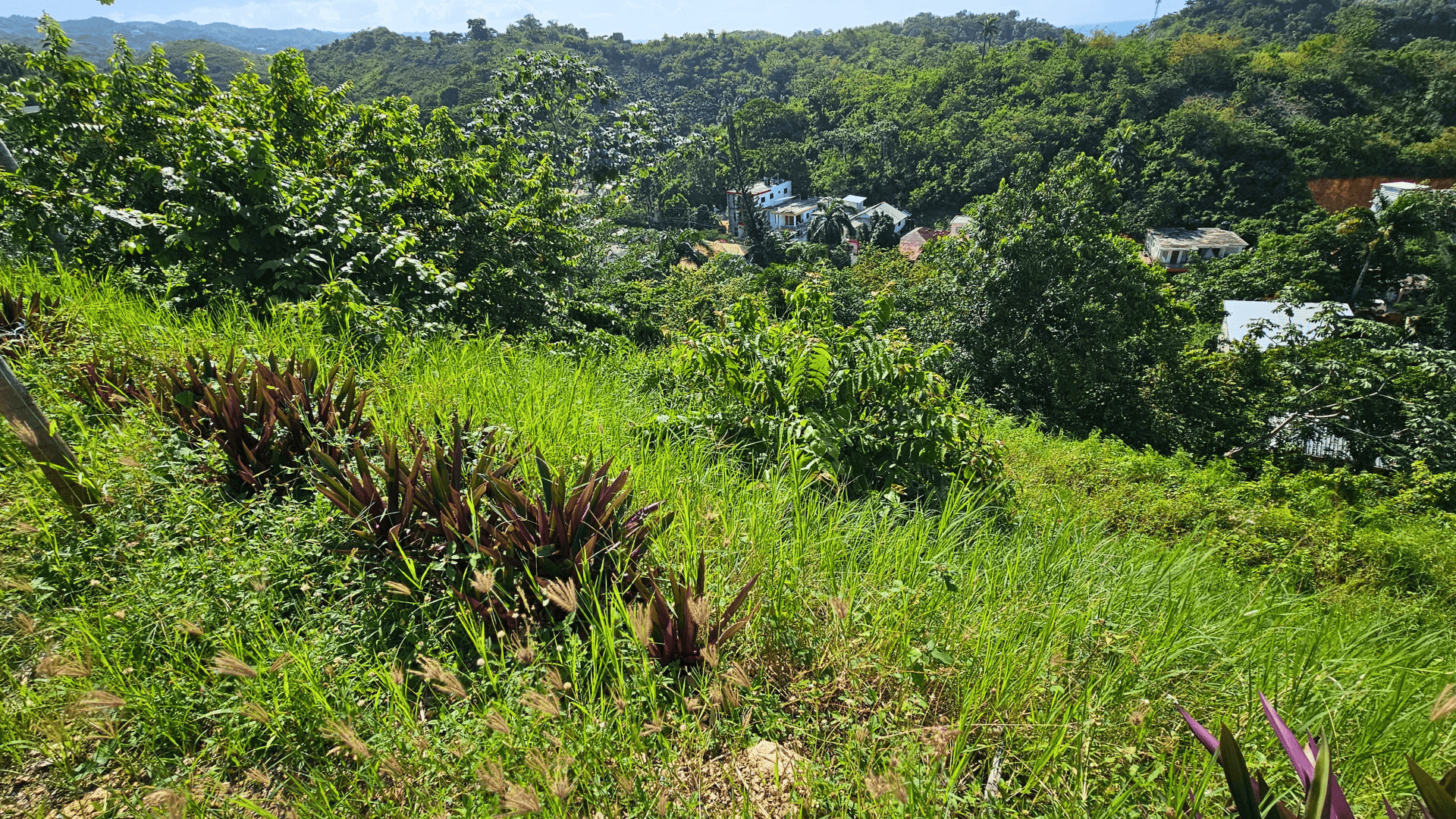 photo of property in dominican republic