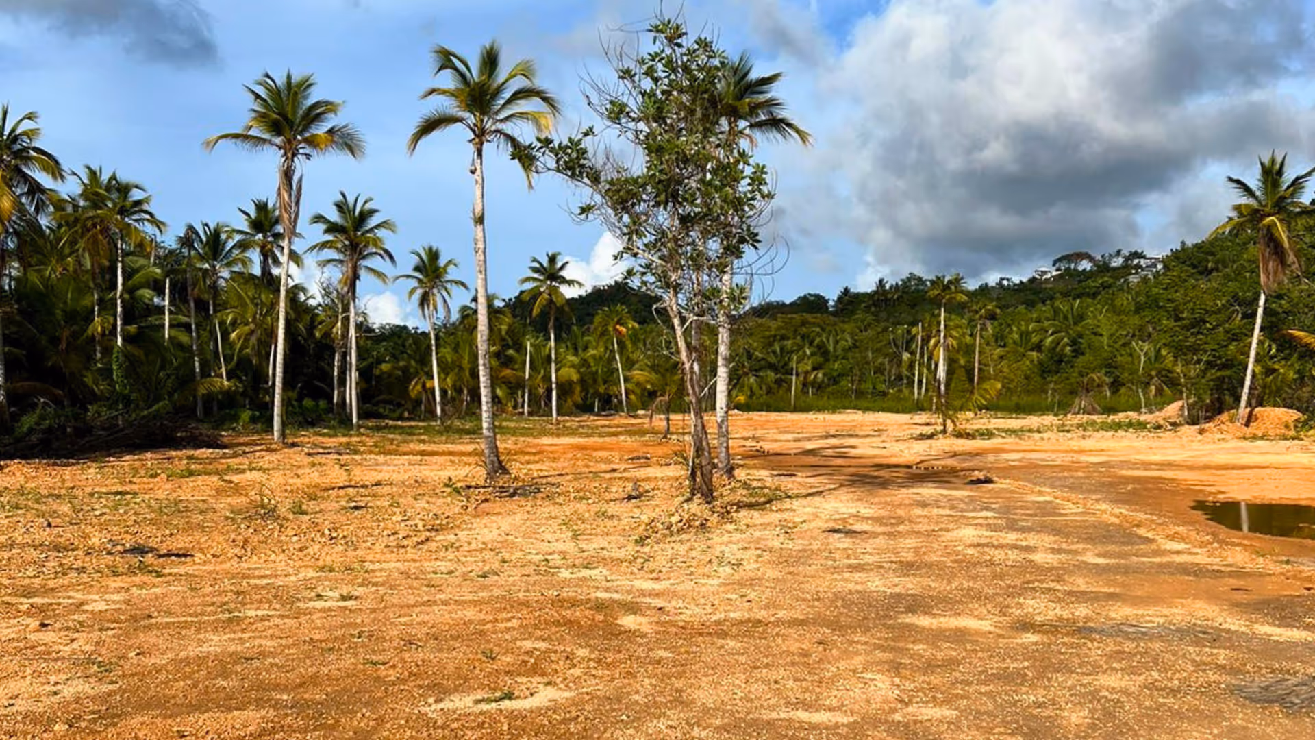 photo of property in dominican republic