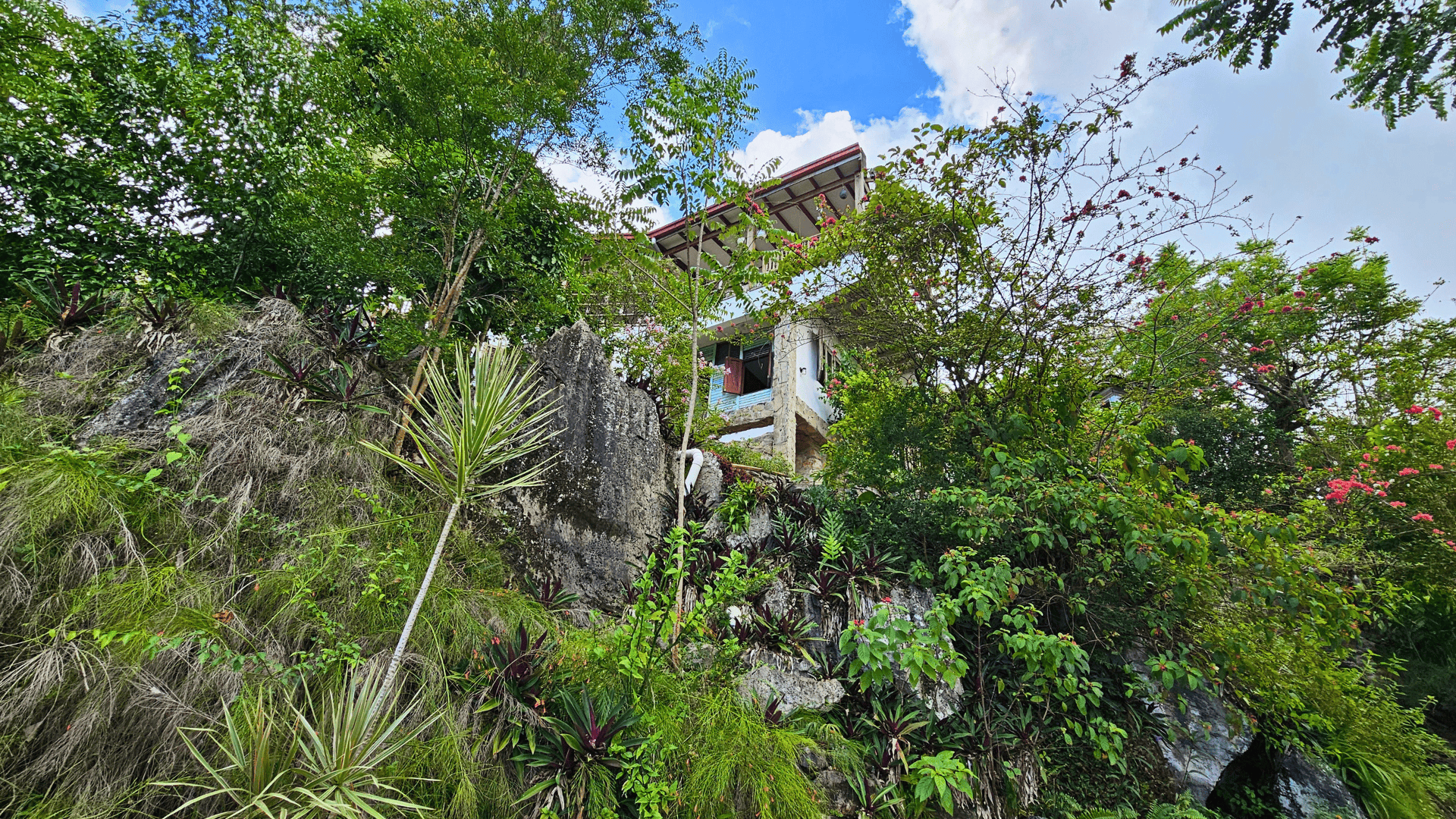 photo of property in dominican republic