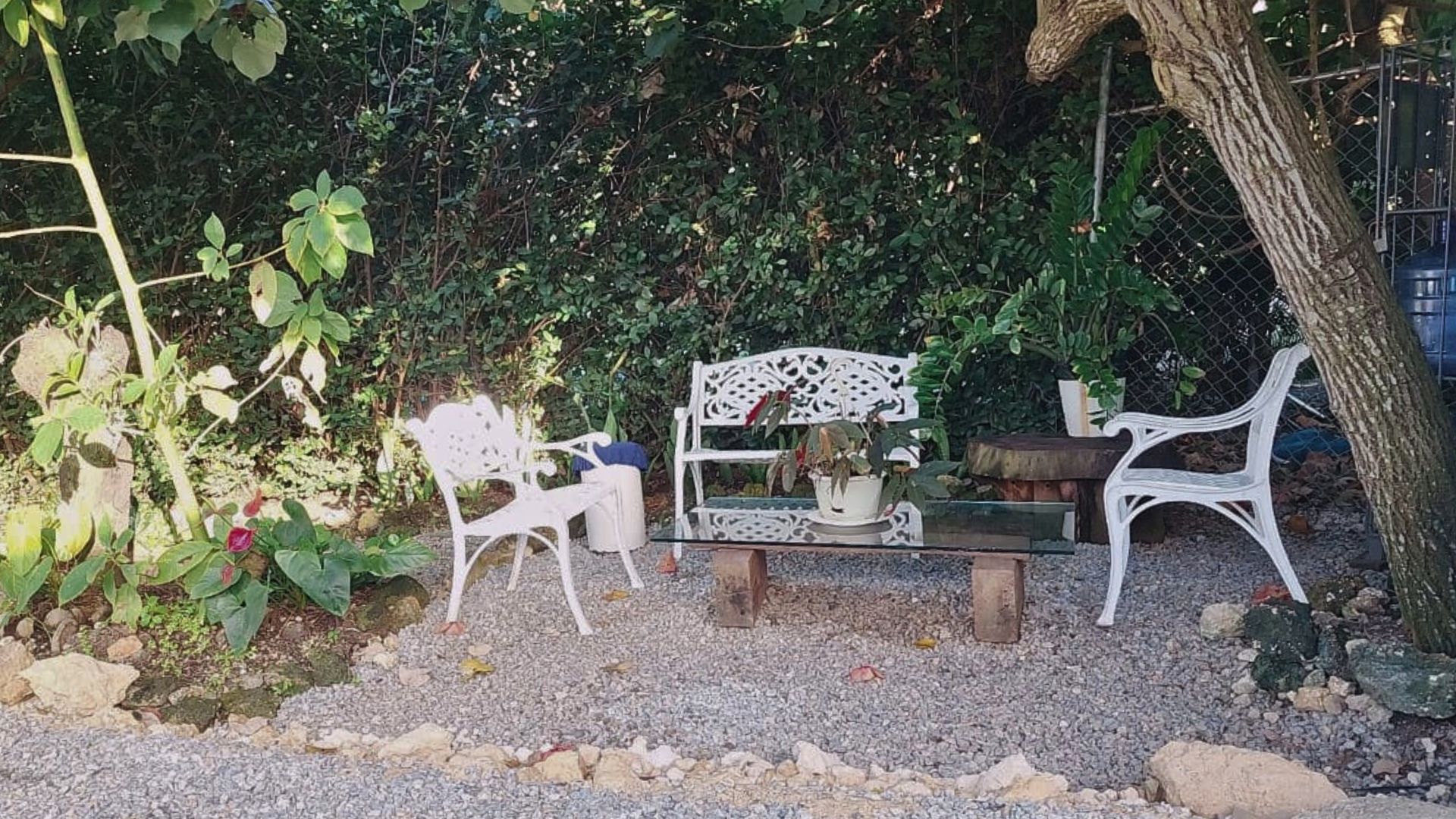 photo of property in dominican republic