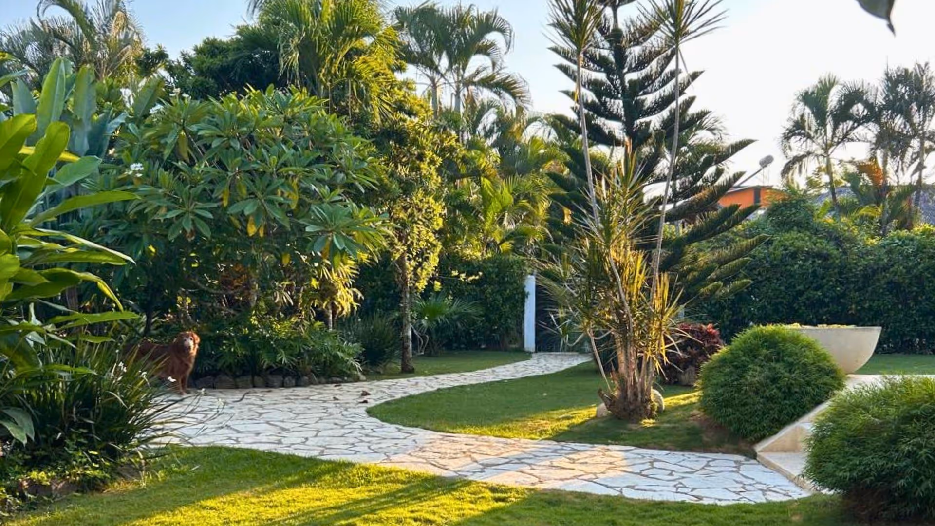 photo of property in dominican republic