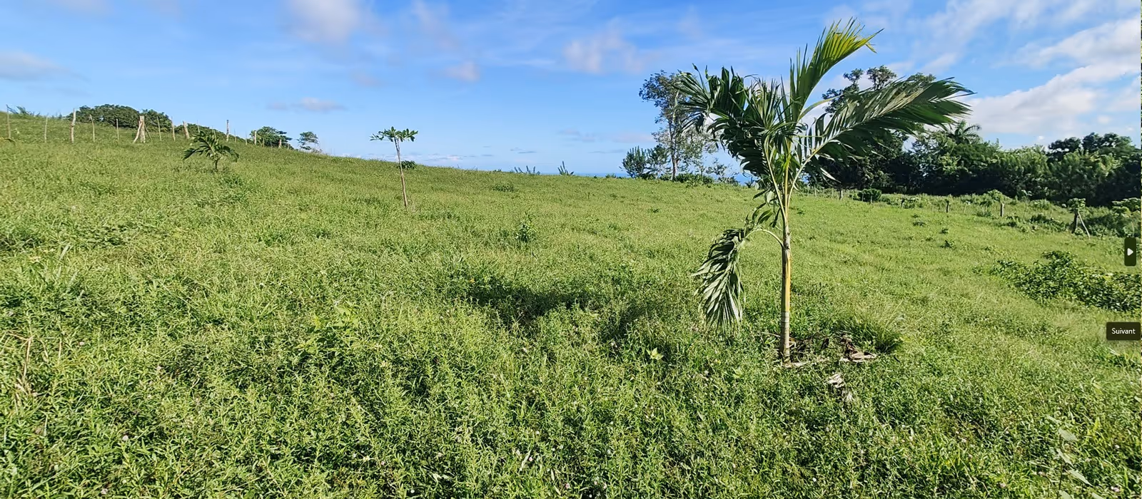 photo of property in dominican republic