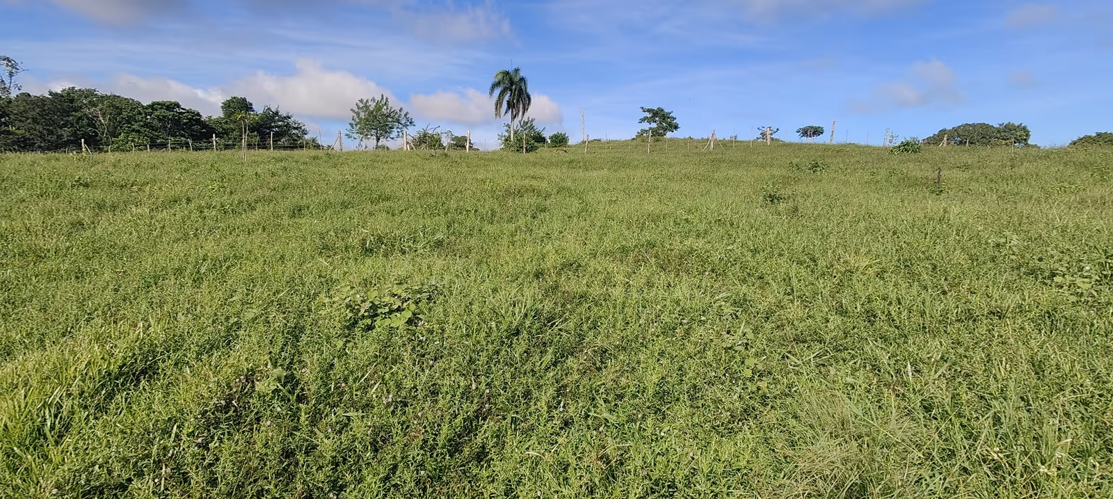 photo of property in dominican republic