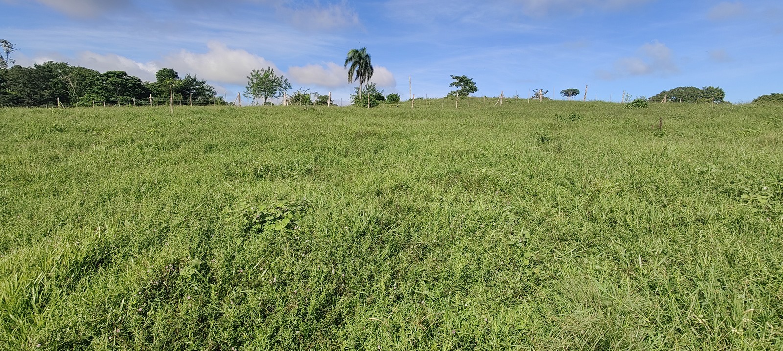photo of property in dominican republic
