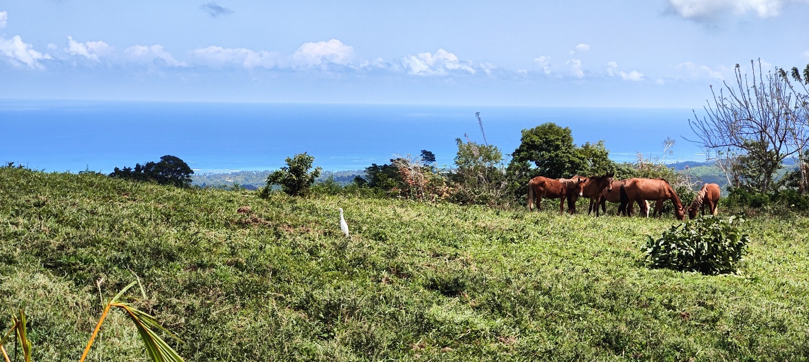 photo of property in dominican republic